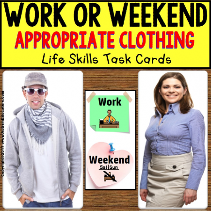 Appropriate WORK or WEEKEND CLOTHING | Task Box Filler Activities for Autism